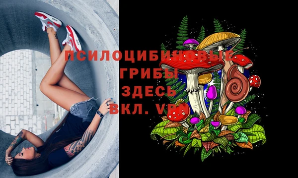 PSILOCYBIN Балахна
