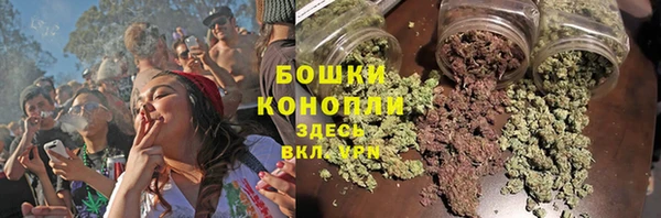 PSILOCYBIN Балахна