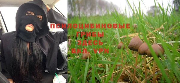PSILOCYBIN Балахна
