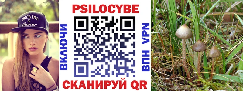 дарк нет телеграм  Белебей  Галлюциногенные грибы прущие грибы 